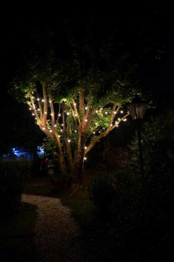 Campos do Jordão Casa Sirinヴィラ エクステリア 写真