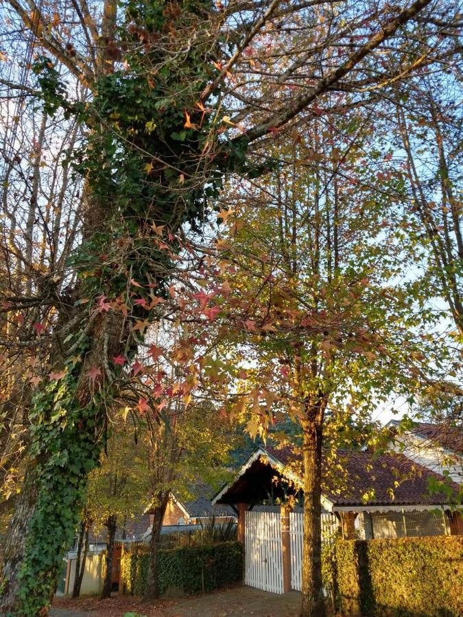 Campos do Jordão Casa Sirinヴィラ エクステリア 写真